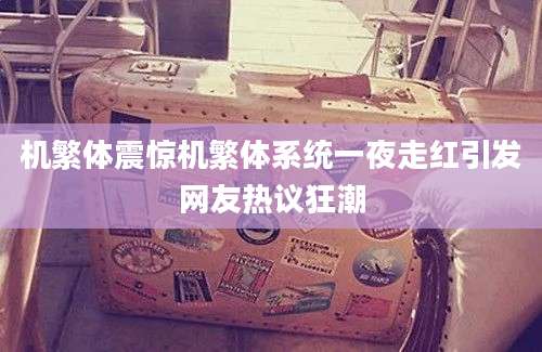 机繁体震惊机繁体系统一夜走红引发网友热议狂潮