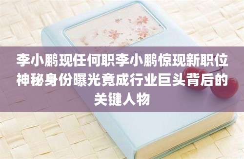 李小鹏现任何职李小鹏惊现新职位神秘身份曝光竟成行业巨头背后的关键人物