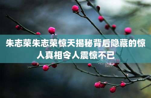 朱志荣朱志荣惊天揭秘背后隐藏的惊人真相令人震惊不已