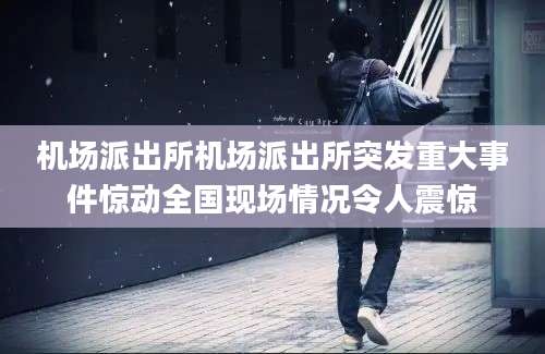 机场派出所机场派出所突发重大事件惊动全国现场情况令人震惊