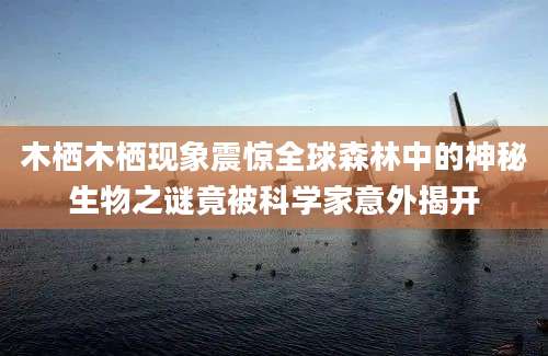 木栖木栖现象震惊全球森林中的神秘生物之谜竟被科学家意外揭开