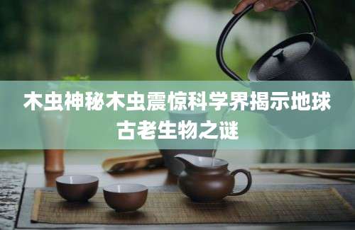 木虫神秘木虫震惊科学界揭示地球古老生物之谜