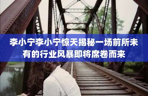 李小宁李小宁惊天揭秘一场前所未有的行业风暴即将席卷而来