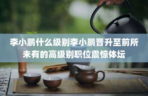 李小鹏什么级别李小鹏晋升至前所未有的高级别职位震惊体坛