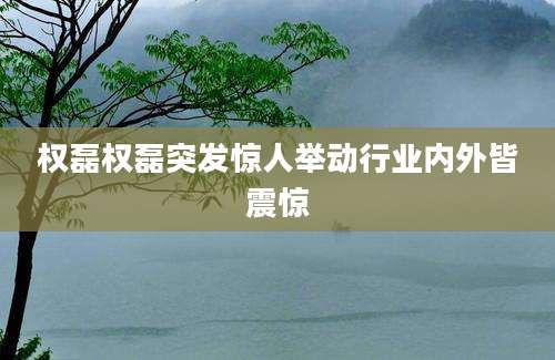 权磊权磊突发惊人举动行业内外皆震惊
