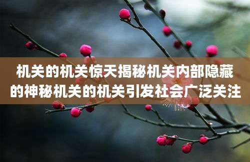机关的机关惊天揭秘机关内部隐藏的神秘机关的机关引发社会广泛关注
