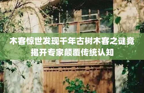 木客惊世发现千年古树木客之谜竟揭开专家颠覆传统认知