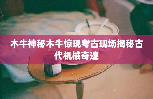 木牛神秘木牛惊现考古现场揭秘古代机械奇迹