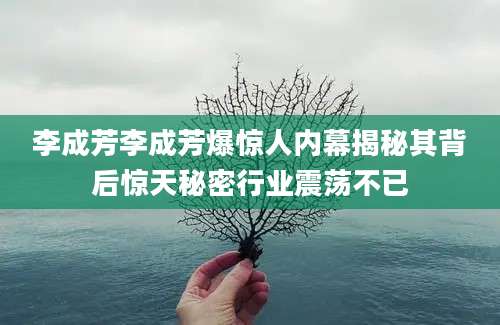 李成芳李成芳爆惊人内幕揭秘其背后惊天秘密行业震荡不已