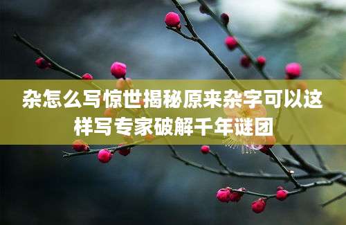 杂怎么写惊世揭秘原来杂字可以这样写专家破解千年谜团
