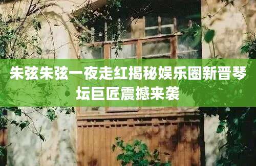 朱弦朱弦一夜走红揭秘娱乐圈新晋琴坛巨匠震撼来袭