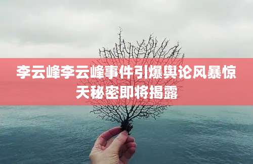 李云峰李云峰事件引爆舆论风暴惊天秘密即将揭露