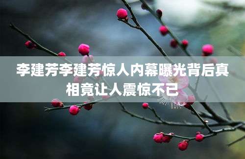 李建芳李建芳惊人内幕曝光背后真相竟让人震惊不已