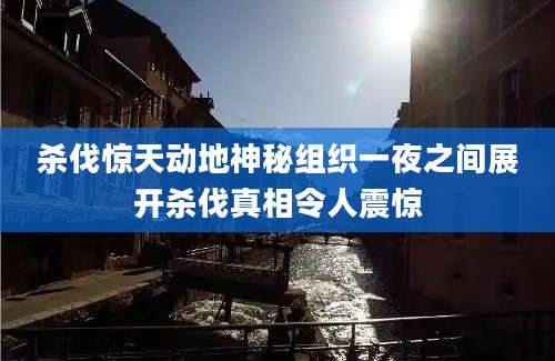 杀伐惊天动地神秘组织一夜之间展开杀伐真相令人震惊