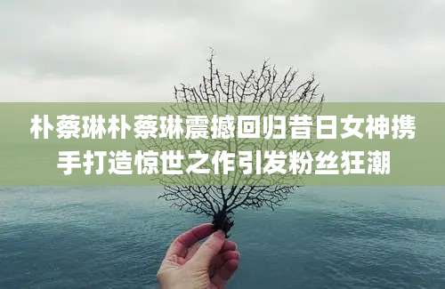 朴蔡琳朴蔡琳震撼回归昔日女神携手打造惊世之作引发粉丝狂潮