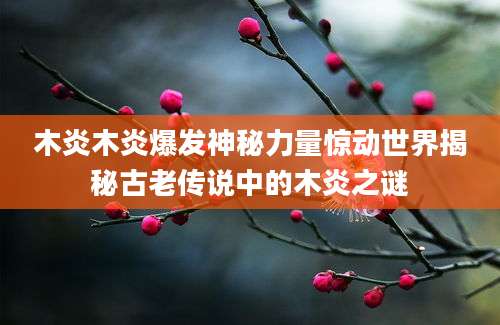 木炎木炎爆发神秘力量惊动世界揭秘古老传说中的木炎之谜
