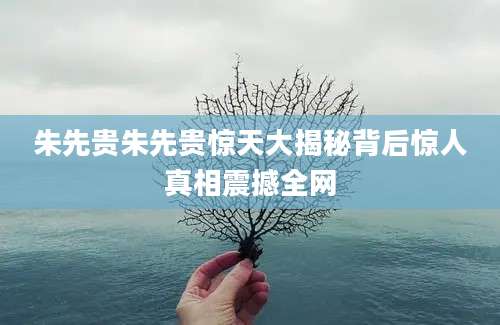朱先贵朱先贵惊天大揭秘背后惊人真相震撼全网