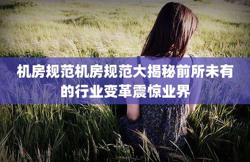 机房规范机房规范大揭秘前所未有的行业变革震惊业界