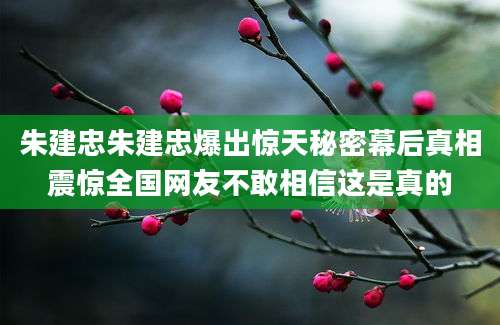 朱建忠朱建忠爆出惊天秘密幕后真相震惊全国网友不敢相信这是真的