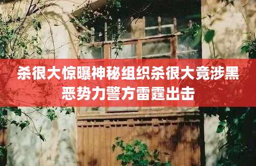 杀很大惊曝神秘组织杀很大竟涉黑恶势力警方雷霆出击