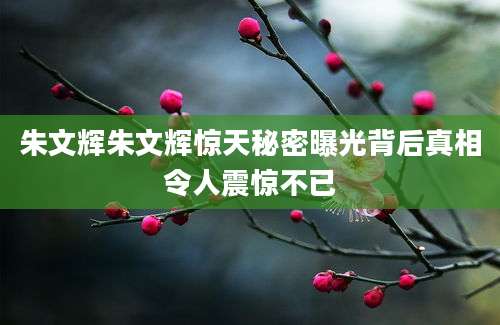 朱文辉朱文辉惊天秘密曝光背后真相令人震惊不已