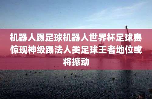 机器人踢足球机器人世界杯足球赛惊现神级踢法人类足球王者地位或将撼动