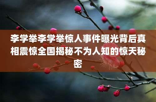 李学举李学举惊人事件曝光背后真相震惊全国揭秘不为人知的惊天秘密