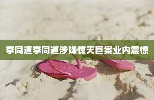 李同道李同道涉嫌惊天巨案业内震惊