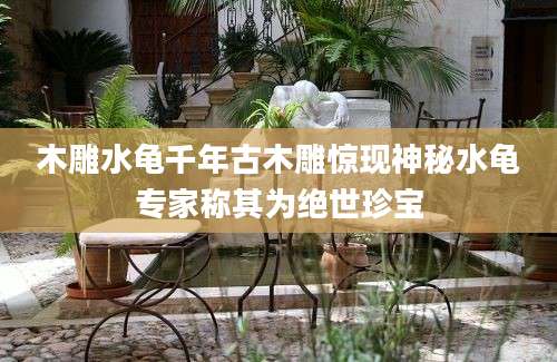 木雕水龟千年古木雕惊现神秘水龟专家称其为绝世珍宝