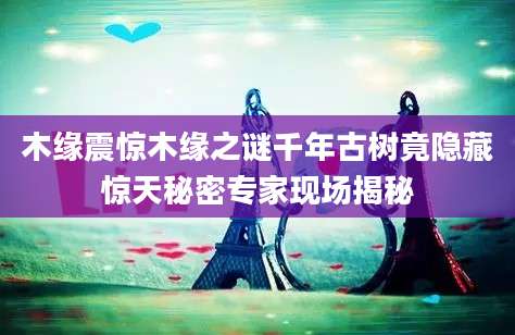 木缘震惊木缘之谜千年古树竟隐藏惊天秘密专家现场揭秘