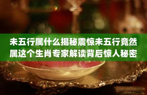 未五行属什么揭秘震惊未五行竟然属这个生肖专家解读背后惊人秘密