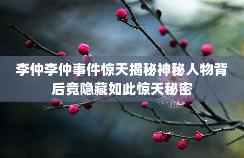 李仲李仲事件惊天揭秘神秘人物背后竟隐藏如此惊天秘密