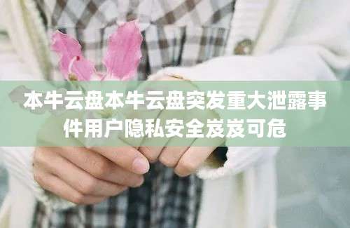 本牛云盘本牛云盘突发重大泄露事件用户隐私安全岌岌可危