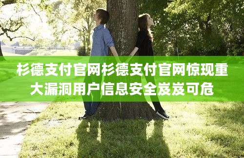 杉德支付官网杉德支付官网惊现重大漏洞用户信息安全岌岌可危